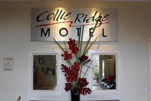 Collie Ridge Resort - Location and Surroundings