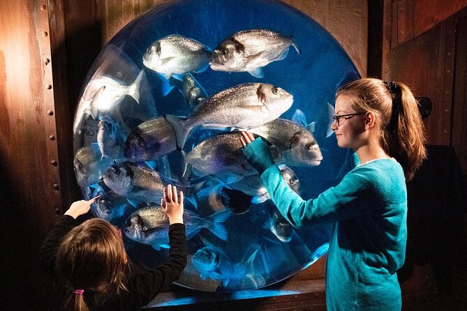 Combi Ticket: Madame Tussauds & SEA LIFE Berlin