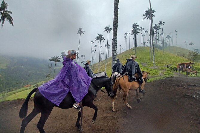 Complete Horseback Riding in Valle Del Cocora
