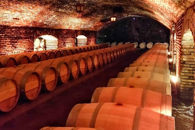 Concha Y Toro Vineyard Tour From Santiago
