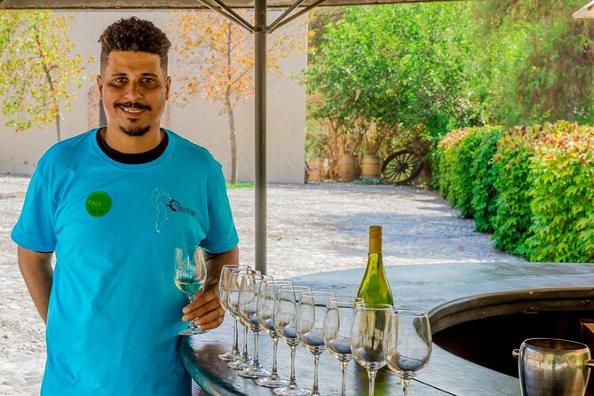 Concha Y Toro Vineyard