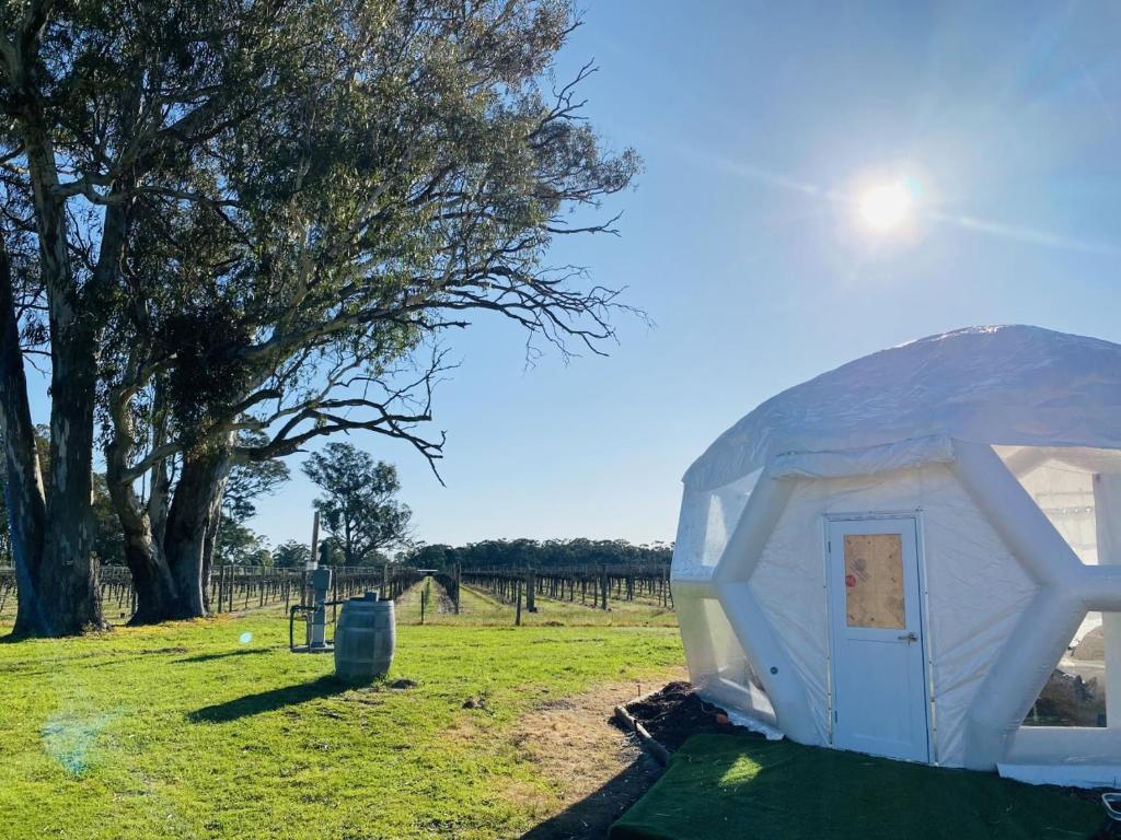 Coonawarra Hampton Bubble 2 Review