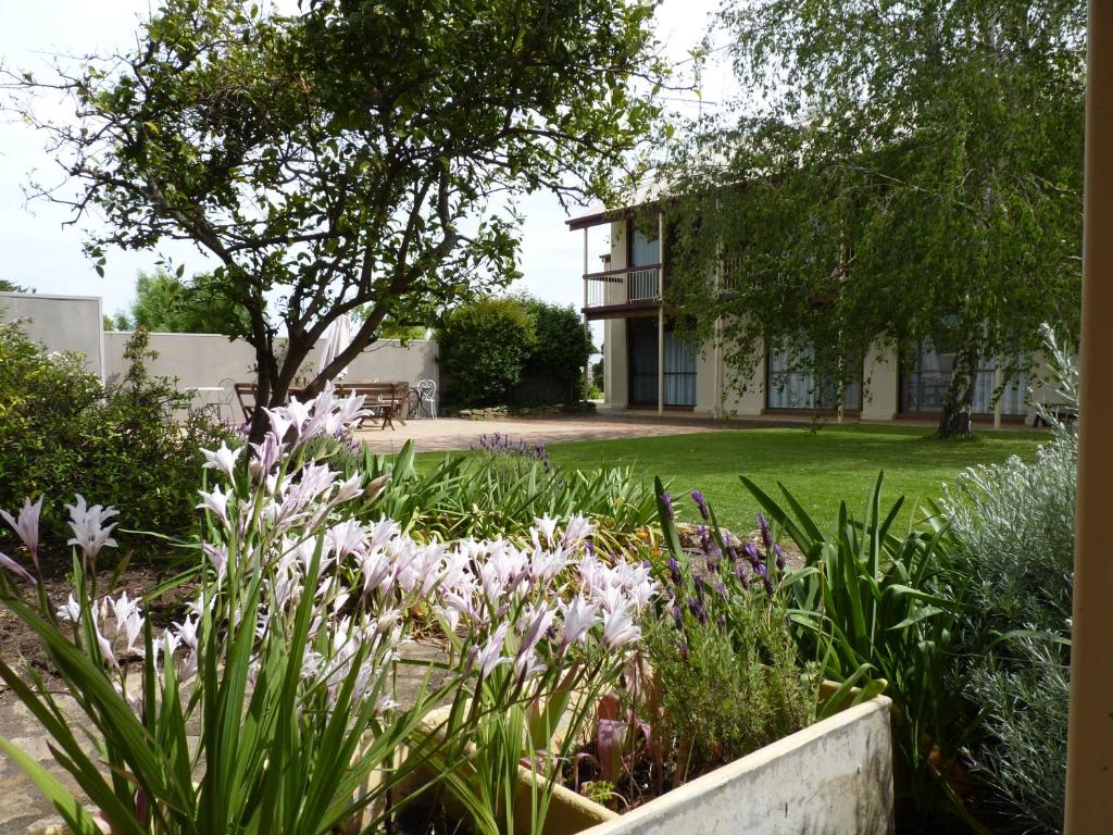 Best Hotels In Penola