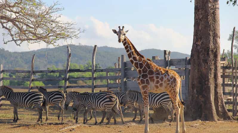 2 Best Safari Tours In Coron