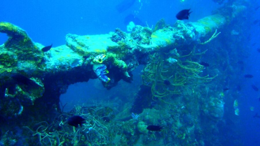 Coron Private Tour D: Reef and Wrecks - Tour Overview and Pricing
