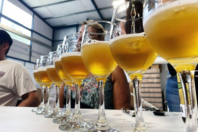 Costa Rica Central Valley Wine, Beer, and Mead Tour and Tasting - Tour Highlights