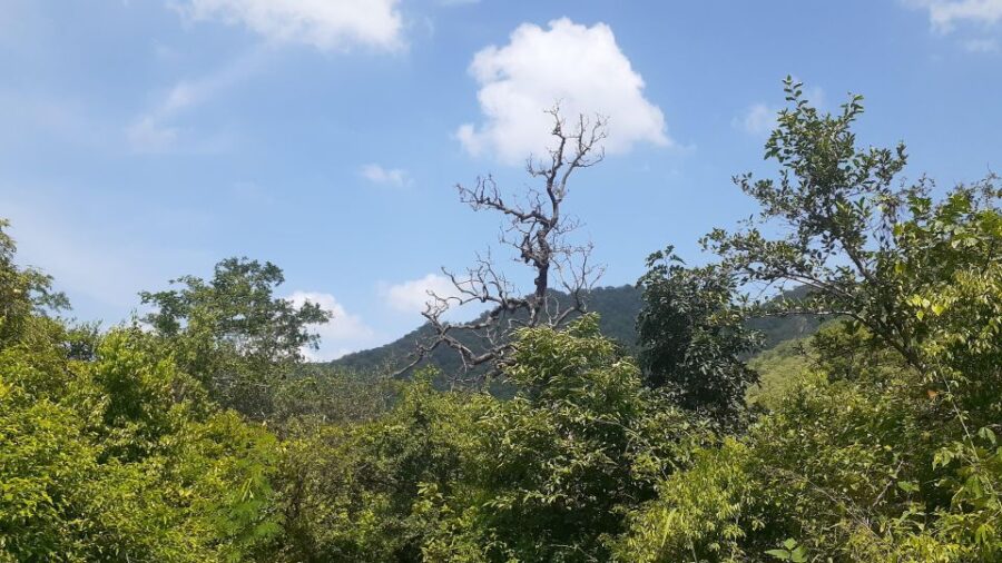3 Best Hiking And Trekking Tours In Udaipur