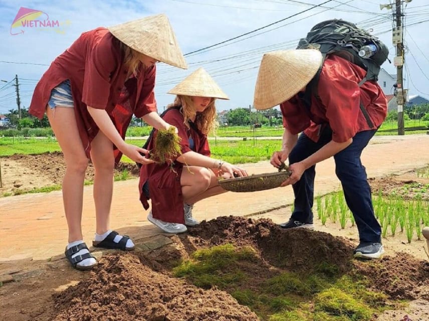 Countryside Biking -Farming -Market -Cooking Class In Hoi An
