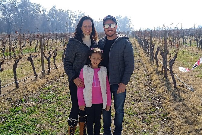 Cousiño Macul Vineyard - Maipo Valley - Premium Tasting - HD - Overview of the Vineyard