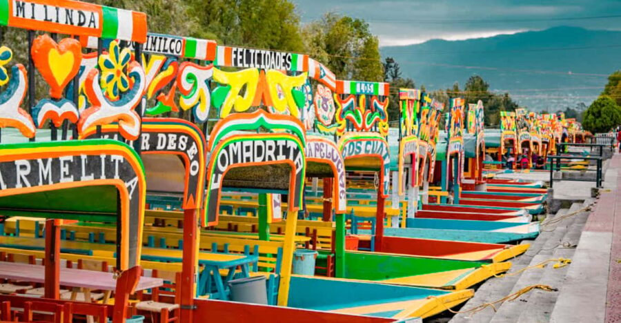 Coyoacán & Xochimilco: Discover an Oasis in Mexico City