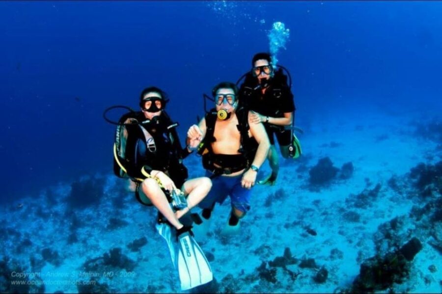 Cozumel: 2-Tank Dive Trip With Lunch and Transfers