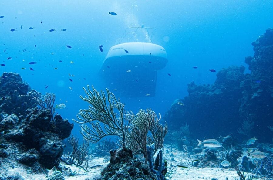 Cozumel: Atlantis Submarine Adventure