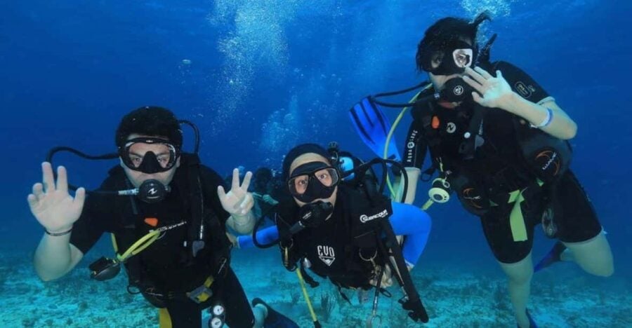 Cozumel: Shipwreck and Reef Dive With Lunch