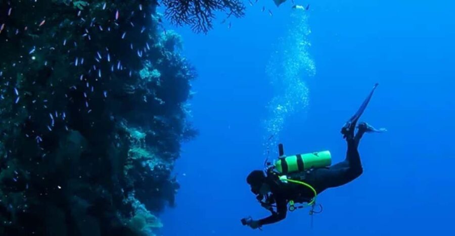Cozumel: Twilight and Night Dive for Certified Divers