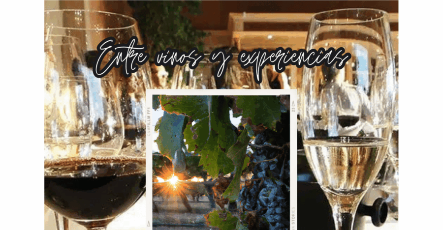 Crafting Unforgettable Experiences: Bilingual Sommelier