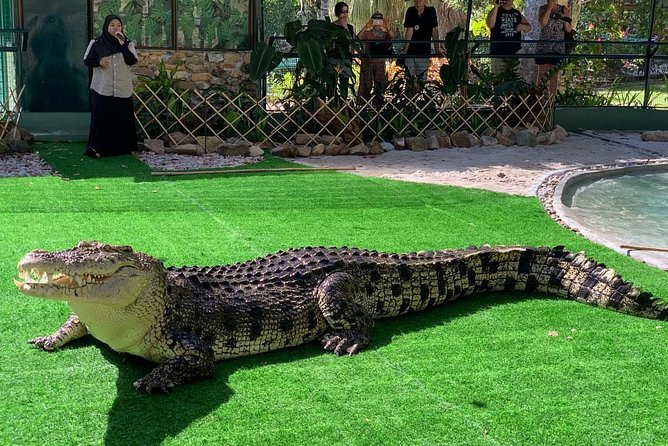 Crocodile Adventureland Langkawi Admission Ticket - Admission Pricing and Discounts