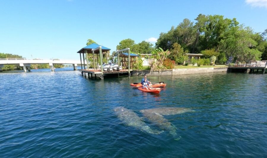 Crystal River: Kayak Rental - Overview and Booking Information