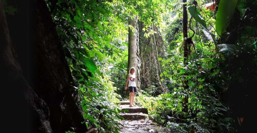 Cuc Phuong National Park Group Day Tour In Ninh Binh
