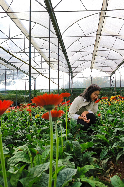 Da Lat : COFFEE CLASS AND DALAT OUTSKIRT TOUR - Tour Overview