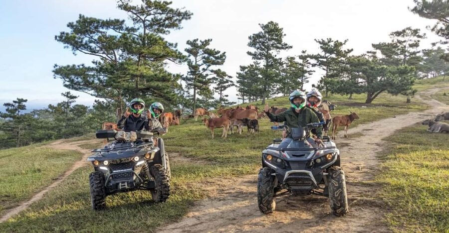 Dalat: ATV Drive 3 Hours