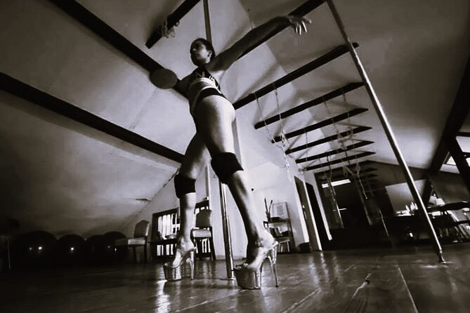 Dance Class (choose 1: Pole Dance, Burlesque or Aerial Silk/Hoop) - Class Overview