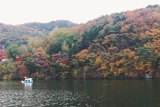 Day Tour to Gangchon Rail Bike Nami Island and Petite France