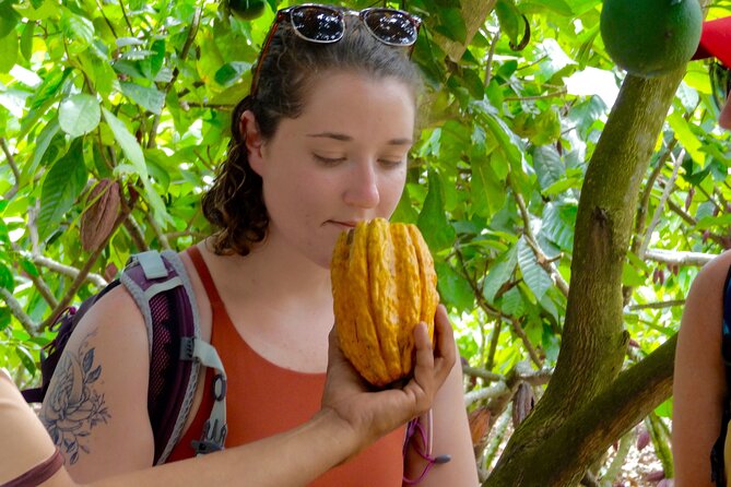 Day Trip From Guayaquil to Howler Monkey Trail and Cacao Farm