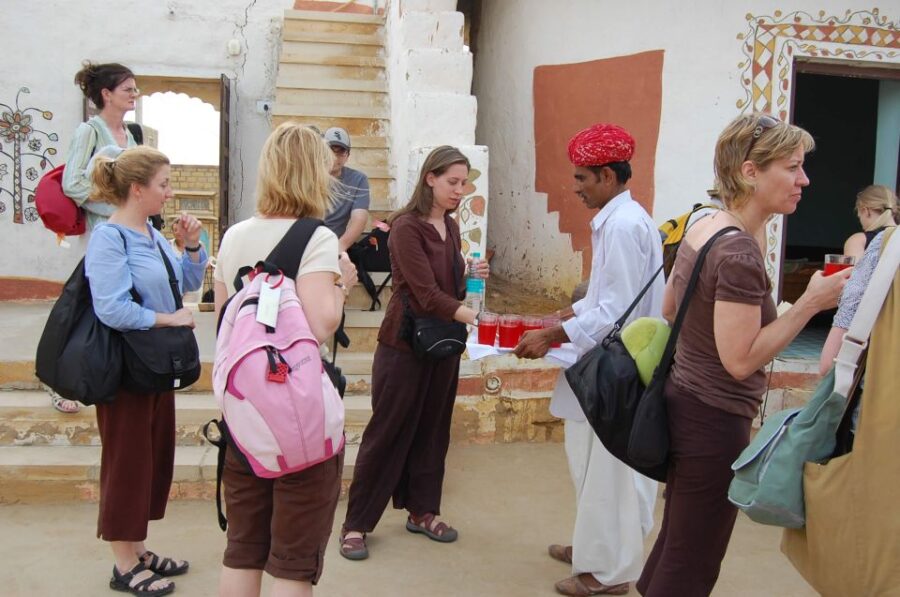 Day Trip to Bishnoi Village From Jodhpur - Overview of the Day Trip