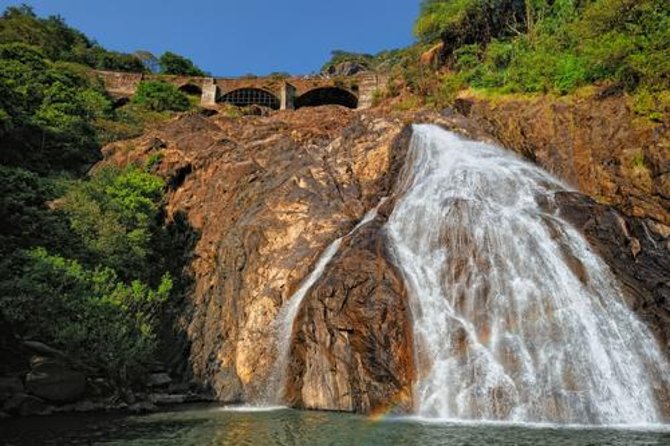 Day Trip to Mollem National Park Including Dudhsagar Falls and Jeep Safari From Goa