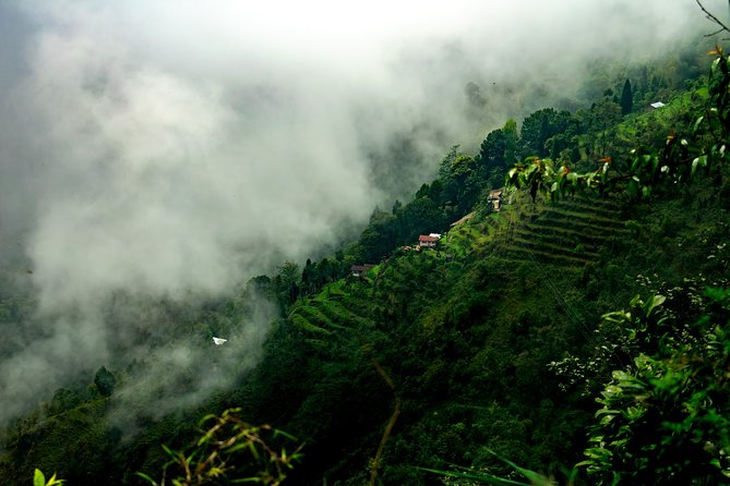 Day Trip to Singalila (Guided Private Sightseeing Experience From Darjeeling)