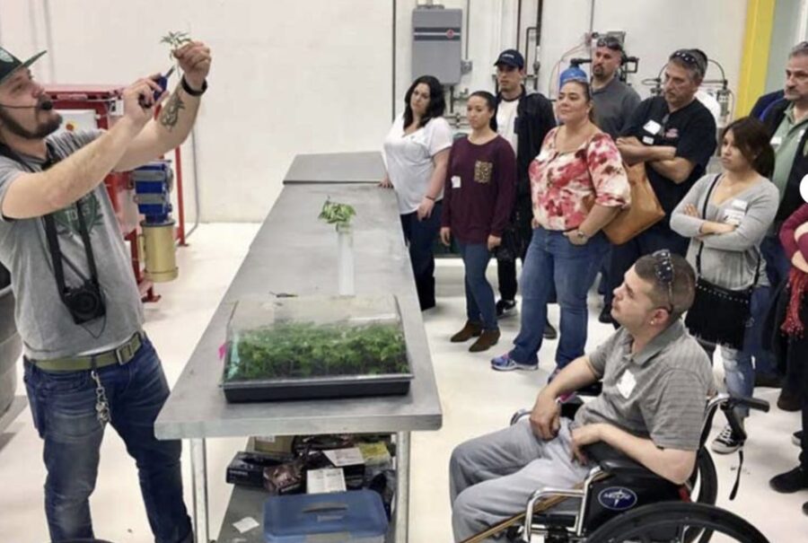 Denver: Cannabis Tour With Grow Facility Access