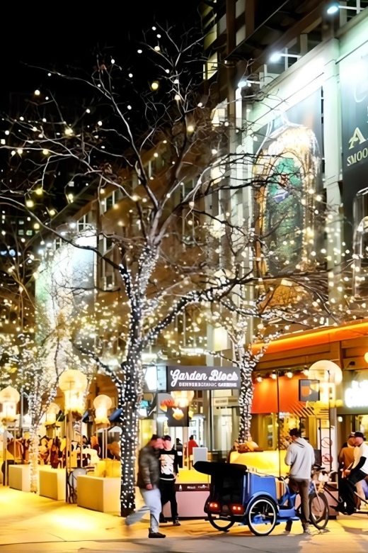 Denver Holiday Lights & Sights Bus Tour