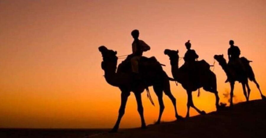 Desert Eagle Safari : Peaceful & Amazing Desert Experience