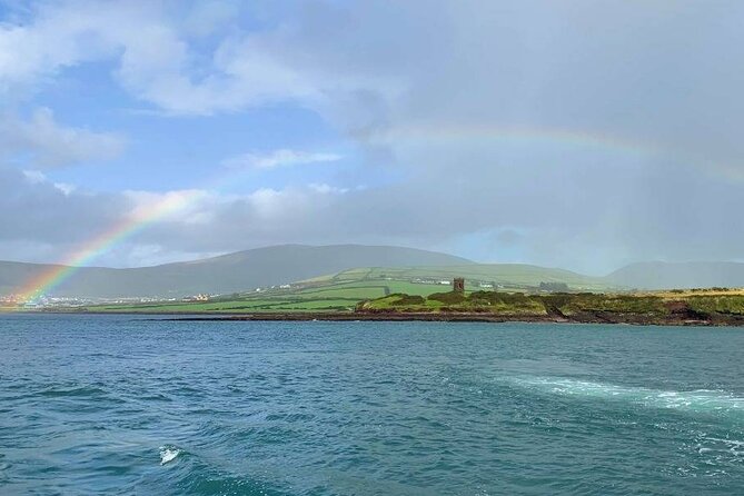 Dingle Bay Cliff Tour