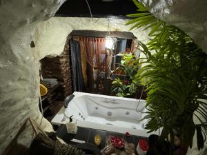 Dis Dugouts - Thrower Close Underground Oasis