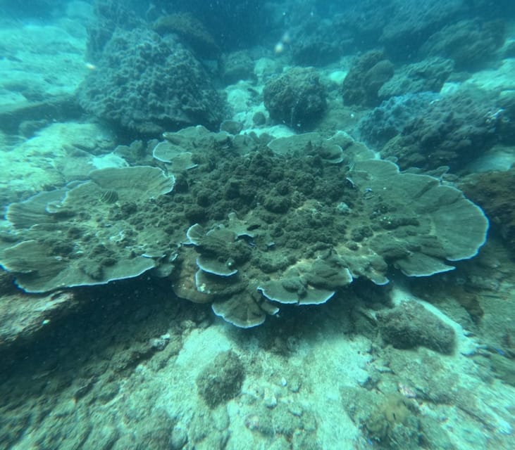 Discover Phu Quoc 3 Island Tour by Boat and Cable Car 1 Day