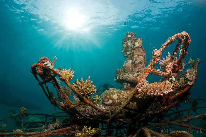 Discover Scuba Diving in Pemuteran at the Biorock Site,1 Shore Dive All Included