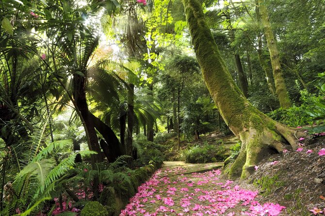 Discover Sintra'S Hidden Gems on Our Walking Tour