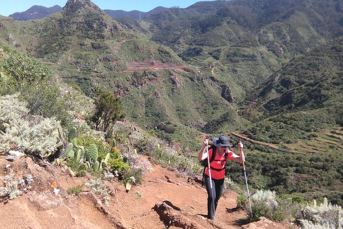 Discover the Lost Paradise of Anaga in Tenerife