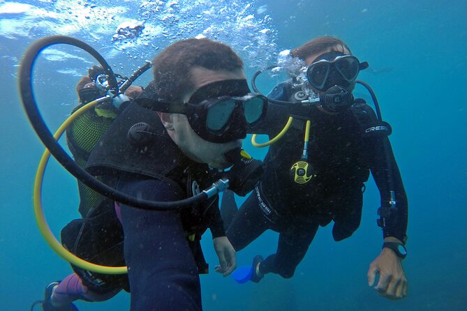 Diving With Turtles in Floripa