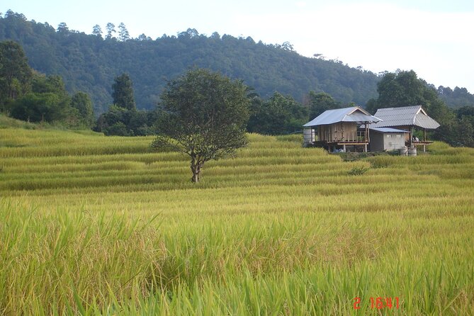 Doi Inthanon National Park and 2 Hours Hiking With Private Tour - Tour Duration and Activities