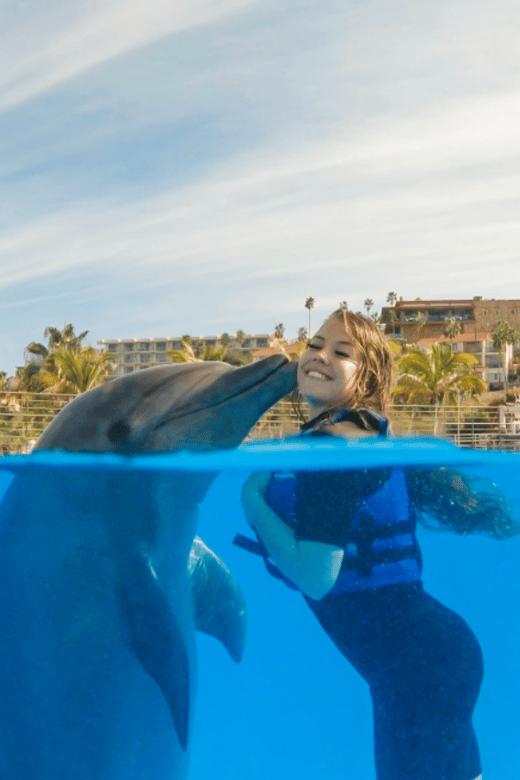 2 Best Dolphin Watching Tours In San Jose Del Cabo