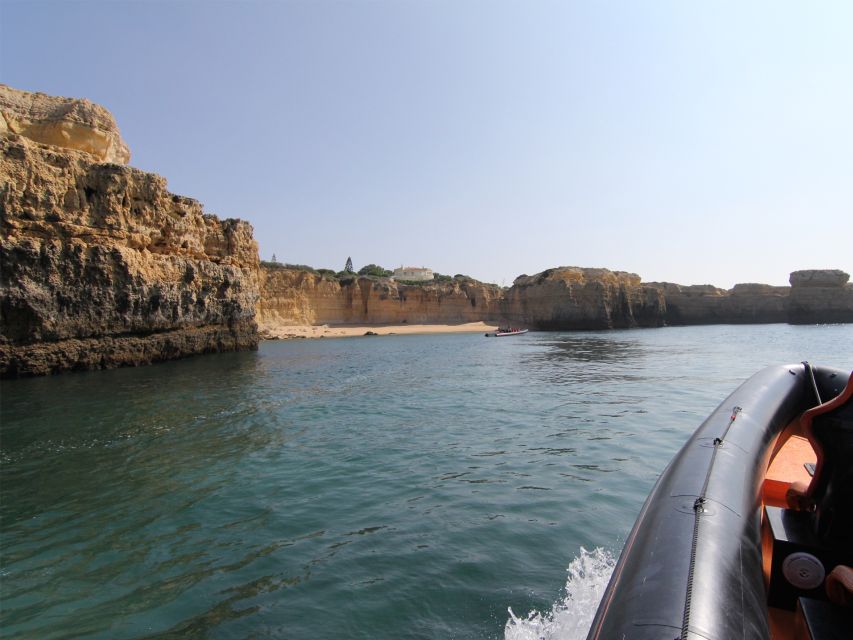 Dolphin Safari and Cave Tour in Vilamoura - Activity Overview and Details