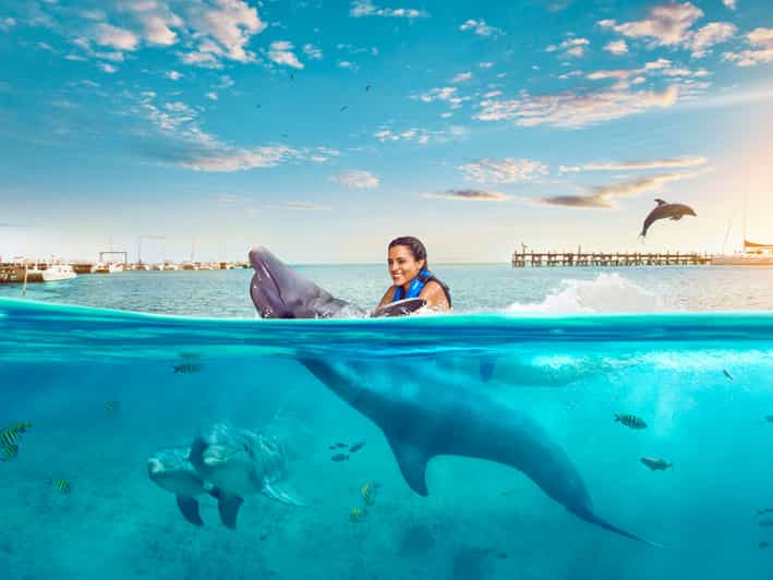 DOLPHIN SWIM ADVENTURE ISLA MUJERES