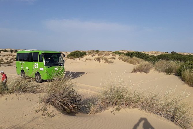 Doñana National Park in 4×4 and El Rocío