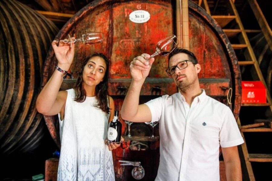 Douro: Premium Wine Tasting and Tapas Tour
