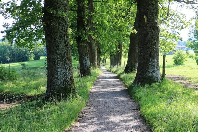 Dragon Slayer Way Beer Hike Food Experience Private Tour (departs Munich)