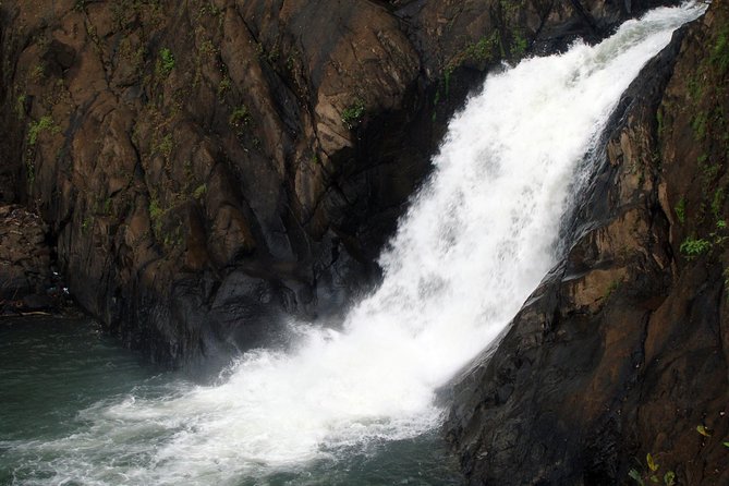 Dudhsagar Waterfall Wildlife & Spice Plantation Tour in Goa - Highlights of the Experience