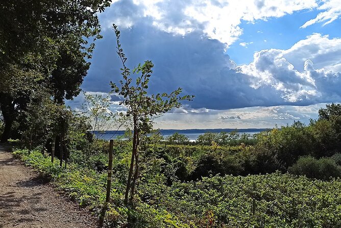E-Bike Tour and Wine Tasting From Bardolino - Tour Overview