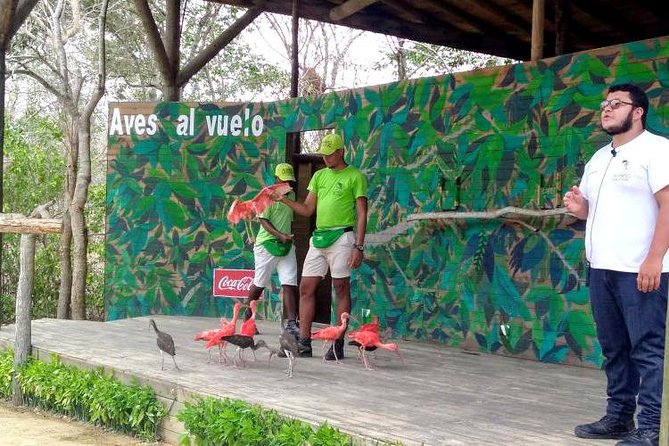 Eco Plan National Aviary and Lunch in Playa Mambo Beach Barú